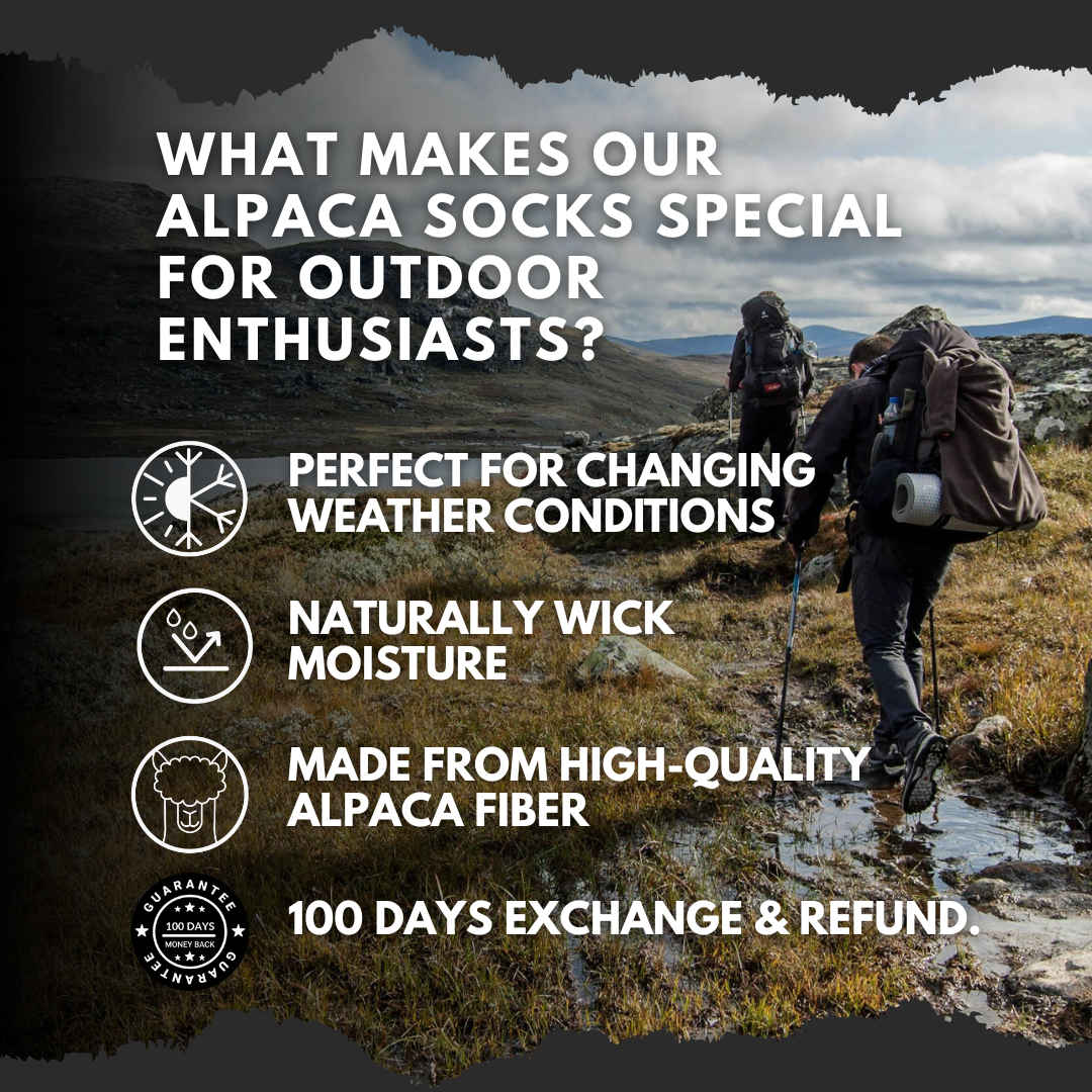 HELLE - Leichte Wandersocke aus Alpaka